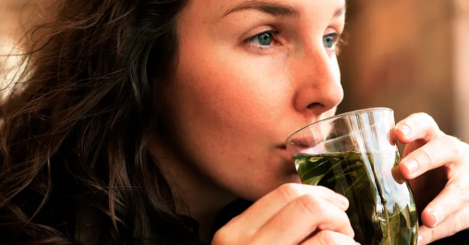 Ayahuasca retreats Peru safety guide