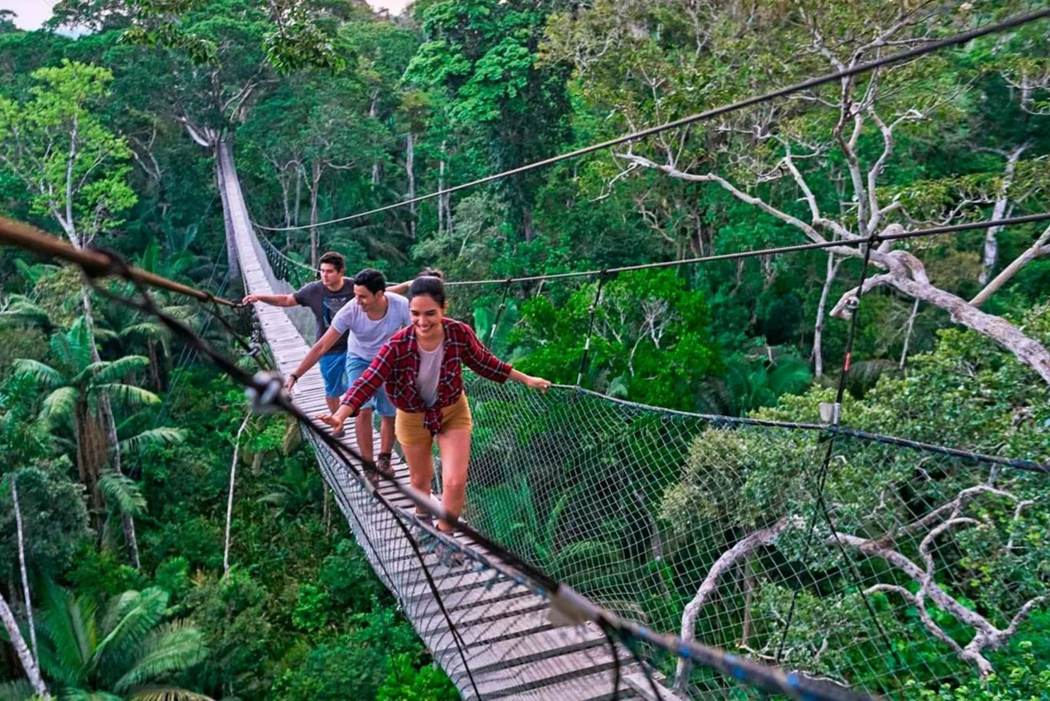 Amazon rainforest animals of Peru