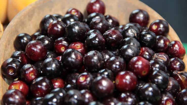 Capulí, a small Andean cherry variety used in jams and traditional syrups, Peru