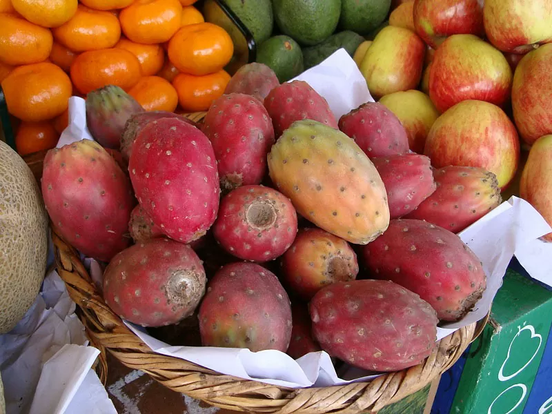Tuna, or prickly pear, the edible fruit of the Indian fig cactus grown in Peru's drier valley zones